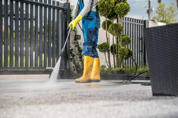 Best Affordable Pressure Washing  in Vallejo, CA